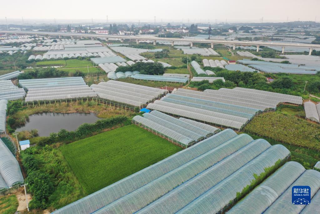 星际娱乐场